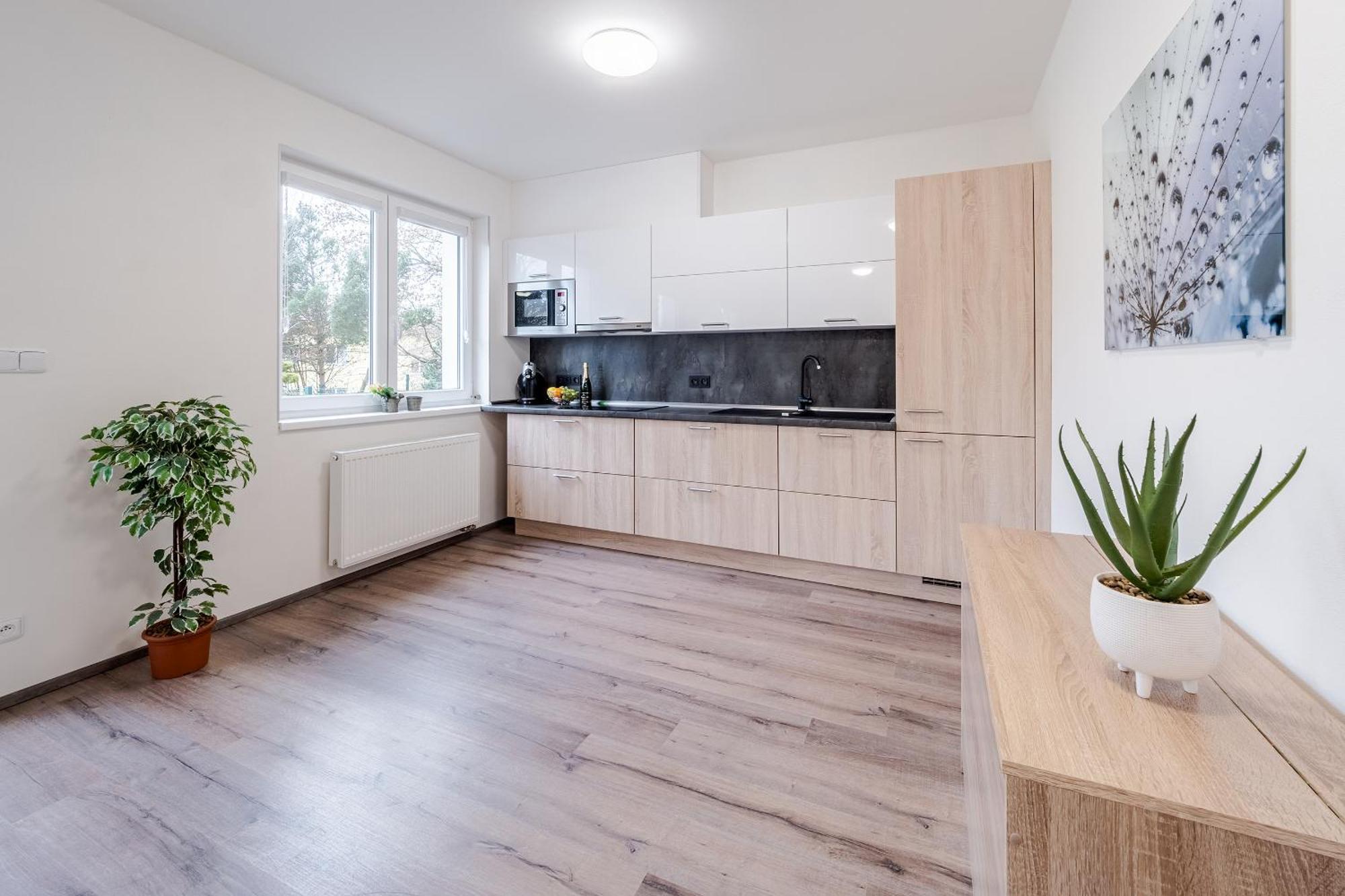 Private Luxury Apartments Frymburk Δωμάτιο φωτογραφία